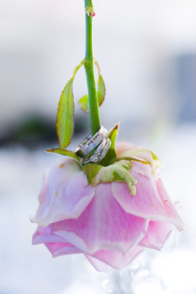 Alliances sur une rose mariage Emilie Champeyroux Photographies Auvergne Riom Aigueperse