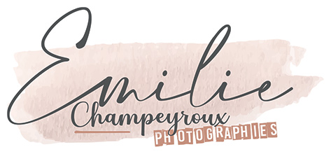 logo EMILIE